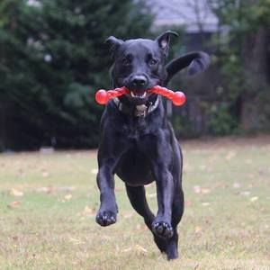 Meet your Posher, Wendy